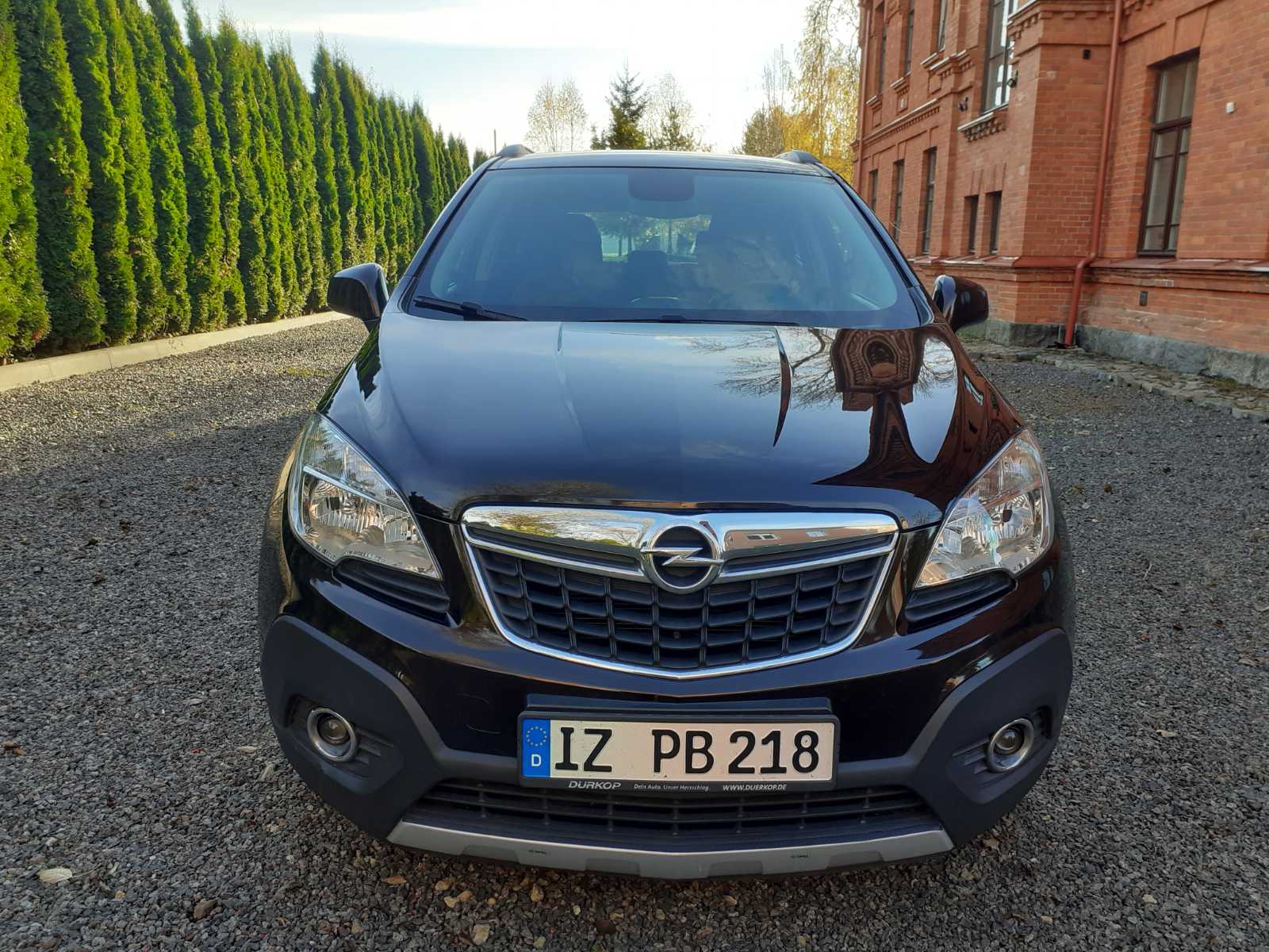 IMG-91302def806451f4e427c12afeae7121-V